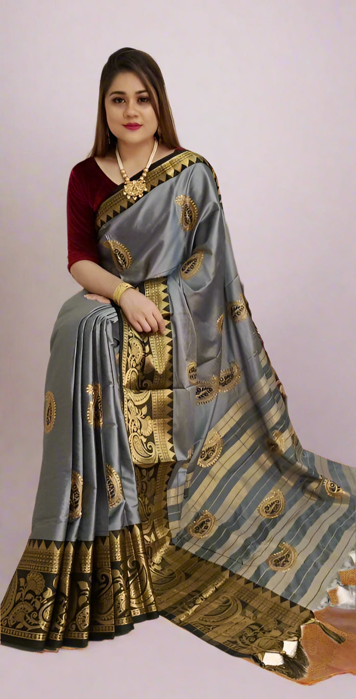 Paisley Embroidered Contrast Saree