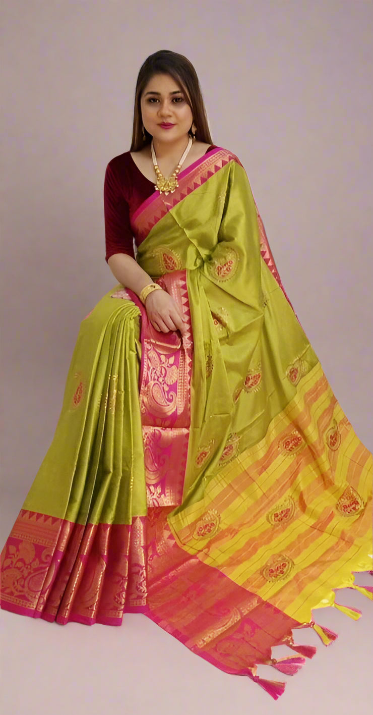 Paisley Embroidered Contrast Saree