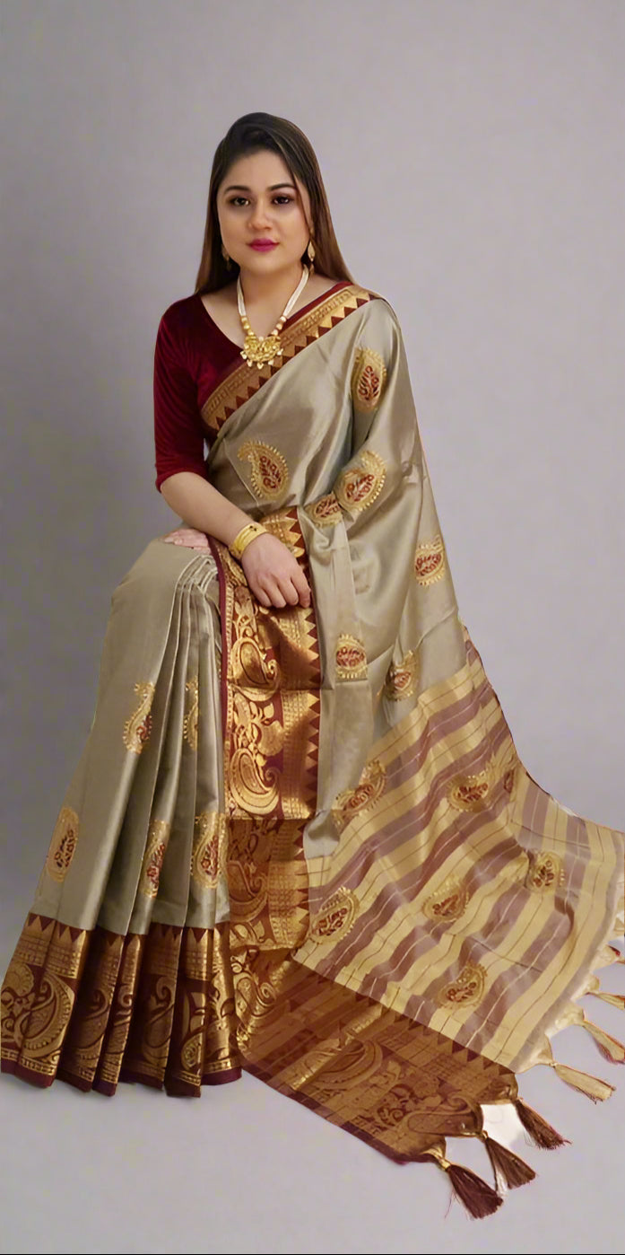 Paisley Embroidered Contrast Saree