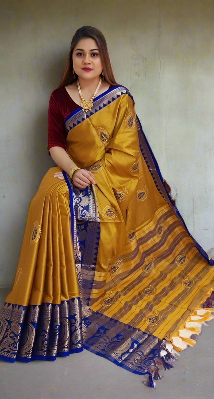 Paisley Embroidered Contrast Saree