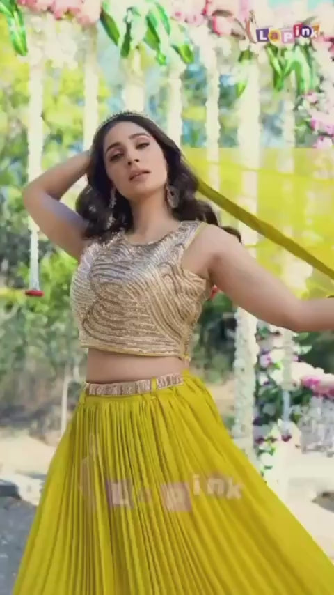 Lehenga with Heavy Beaded Blouse and Net Back